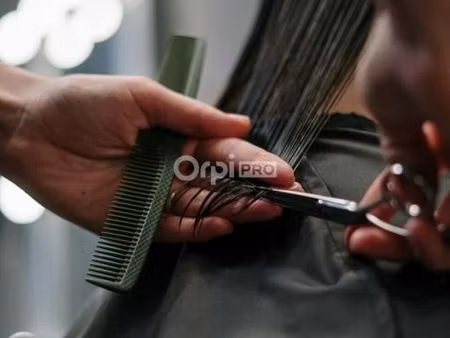 fonds de commerce 45 m²