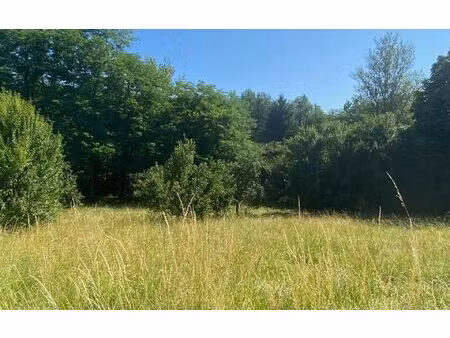 terrain saint-genès-de-lombaud m² t- à vendre  169 000 €