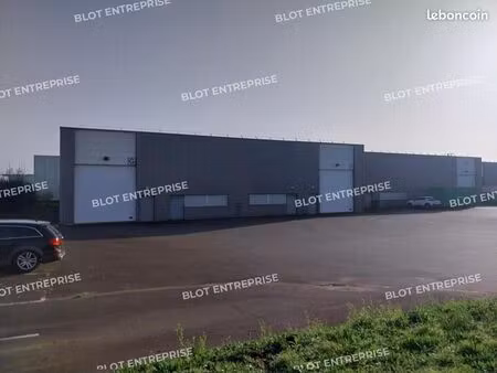 local d'activité 1 237 m²