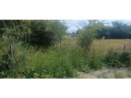 beaumont terrain plat a lotir de 45 ares