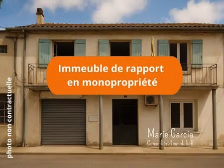 immeuble de rapport en monopropriété  emplacement central