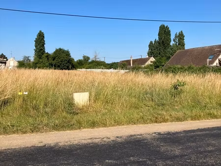 achat terrain 1 333m² villeroy 89100