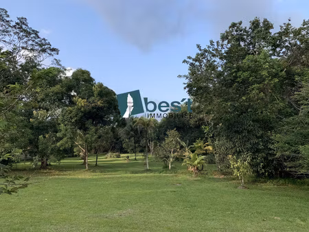 achat terrain 10 000m² matoury 97351