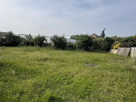 terrain constructible