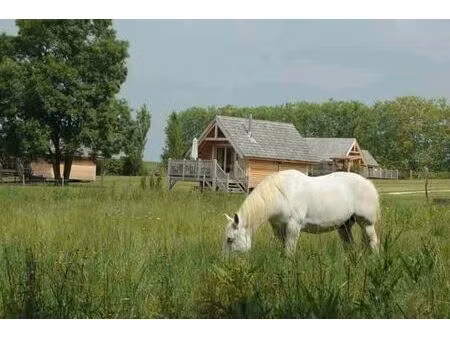 vente maison 7 pièces 175 m² berson (33390)