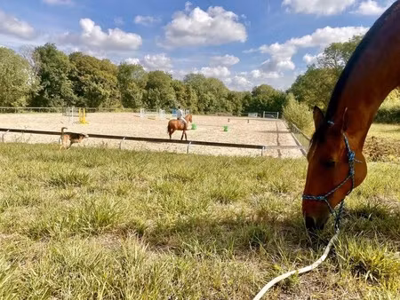 vente maison 14 pièces