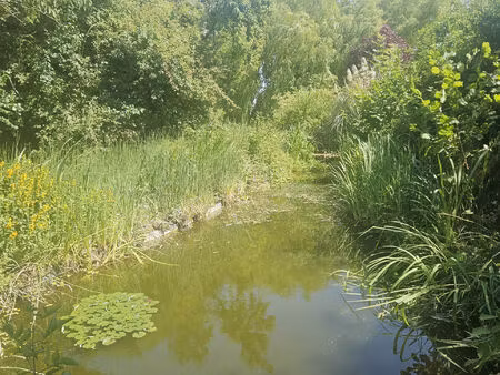 vente terrain 2620 m² farbus (62580)