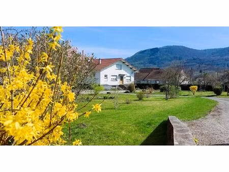 a 30km de belfort - 1000 etangs - sect. melisey 70270 - hors lotissement - calme - a...