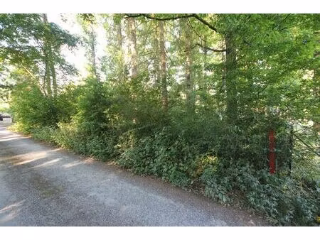 terrain à batir au coeur de la forêt