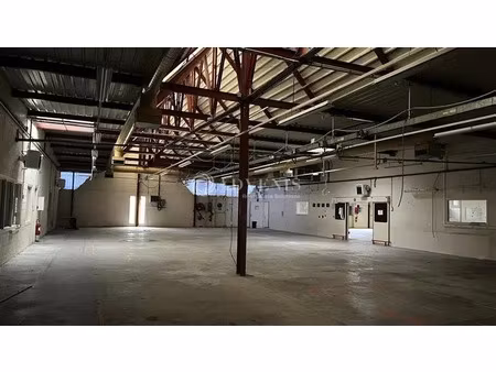 local d'activités a louer