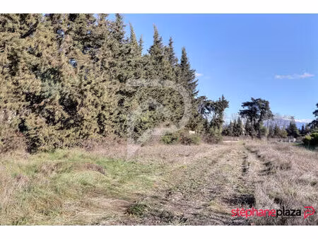 vente terrain 716 m² aubignan (84810)