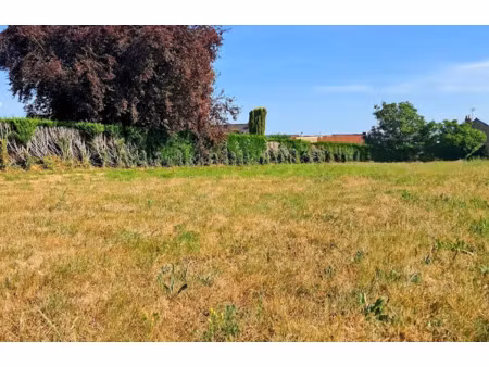 vente terrain à batir 866 m² à teillay (35620)  29 500 €