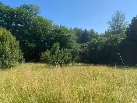 vente terrain 2750 m² à saint-genès-de-lombaud (33670)  169 000 €