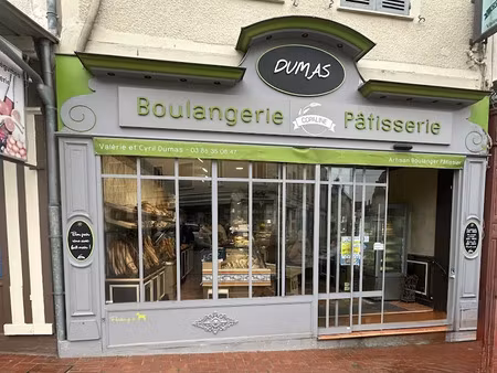 vente locaux professionnels 300 m² à saint-florentin (89600)  340 000 €