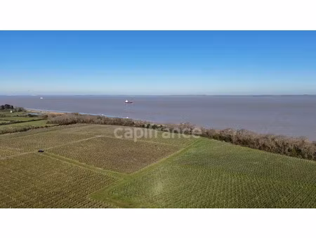 vente locaux professionnels 1143 m² à saint-yzans-de-médoc (33340)  932 400 €