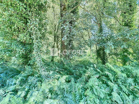 terrain mohon à vendre