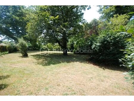 foret de 800 m² à narrosse