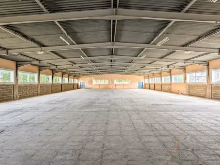 locaux d'activités a vendre