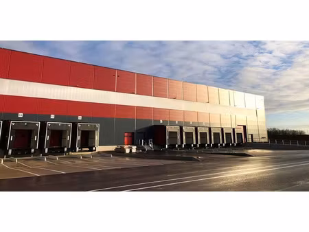 location entrepôt / local d'activités boisseaux 31 055 m²