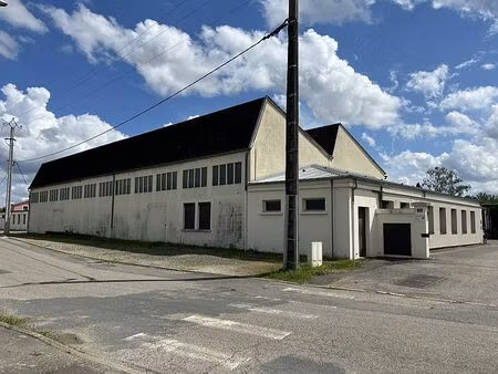 vente local d'activités amberieux d'azergues 2 300 m²