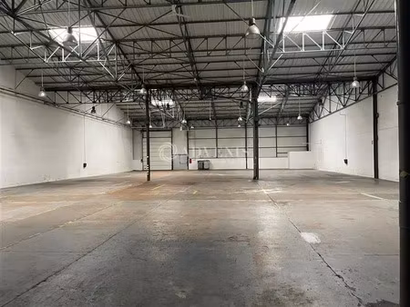 local d'activités a louer