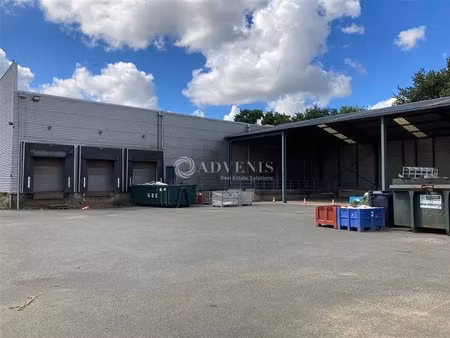 local d'activités a louer