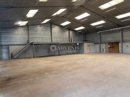 local d'activités a louer