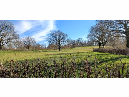 achat terrain 1 745m² limoise 03320