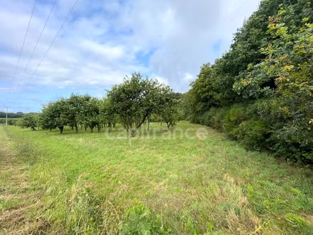 terrain à vendre nivillac 12510m2 12 000€