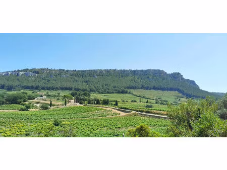 vente maison 3 pièces 118m2 cassis 13260 - 1250000 € - surface privée