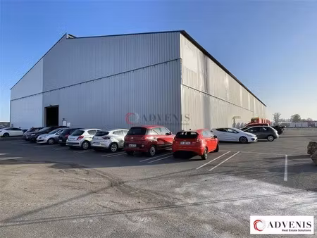 local d'activités a louer