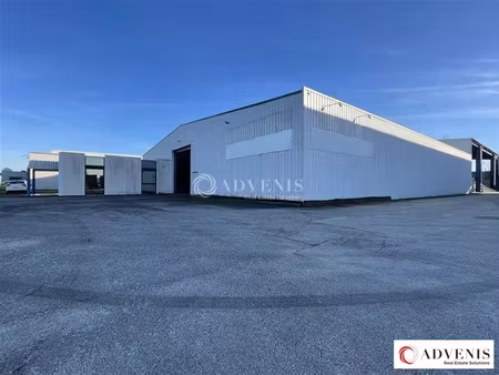 local d'activités a louer