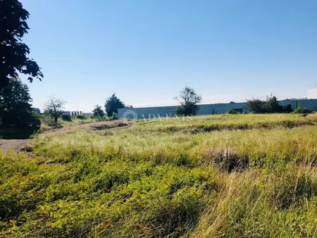 local d'activités a louer