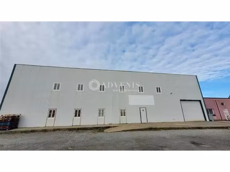 local d'activités a louer