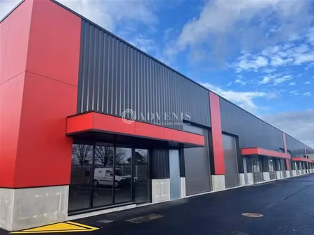 local d'activités a louer