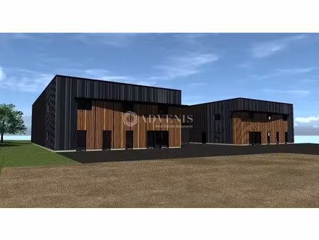 local d'activités a louer