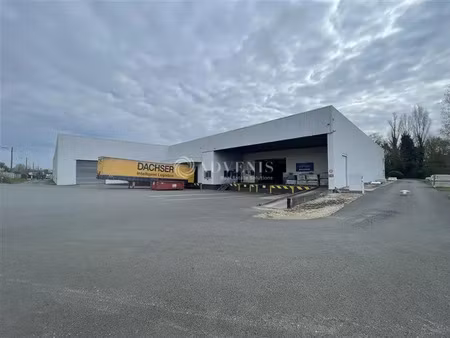 local d'activités a louer