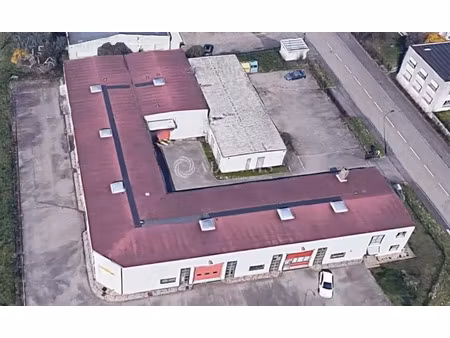 local d'activités a louer