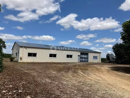 local d'activités a louer