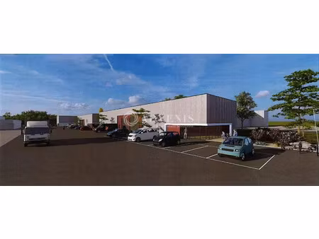 local d'activités a louer