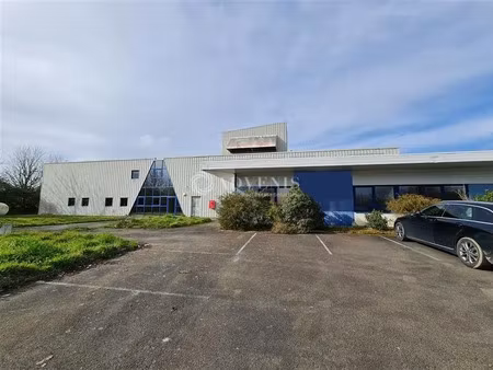 local d'activités a louer