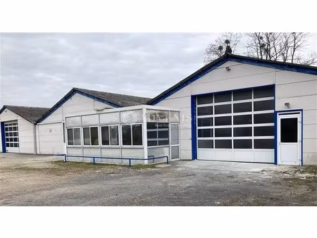 local d'activités a louer