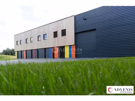 local d'activités a louer