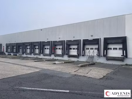 local d'activités a louer