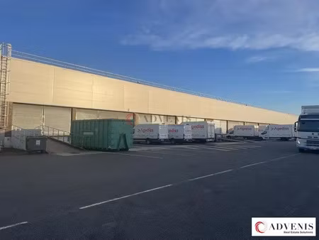 local d'activités a louer