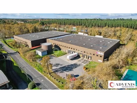 local d'activités a louer