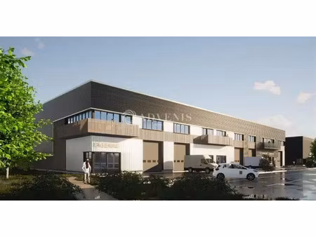 local d'activités a louer