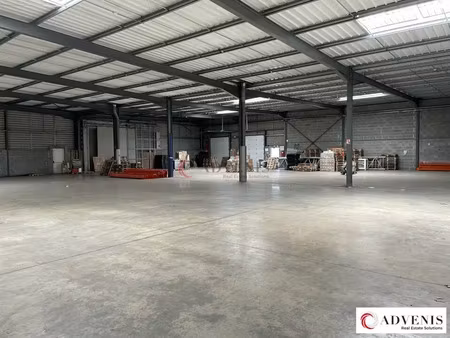 local d'activités a louer