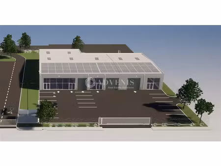 local d'activités a louer