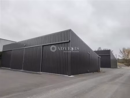 local d'activités a louer